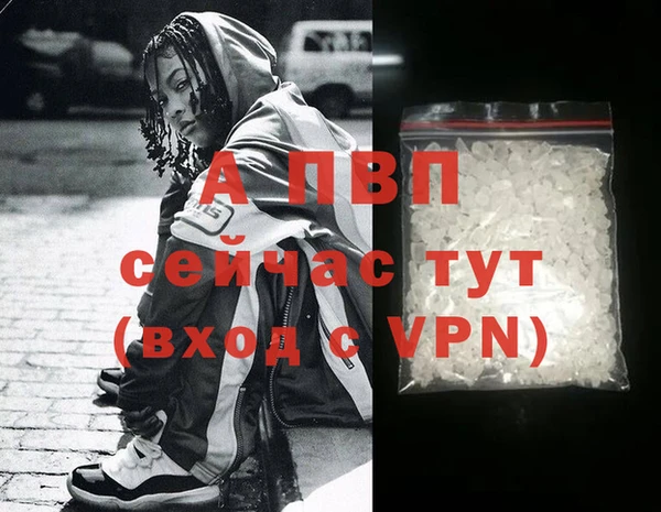 спиды Тихвин