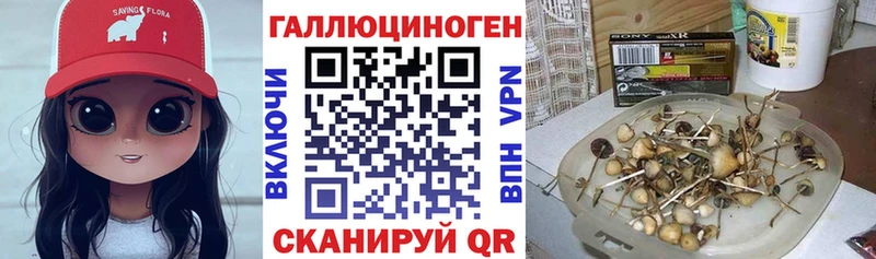 hydra онион  Верхотурье  Галлюциногенные грибы GOLDEN TEACHER  наркотики 