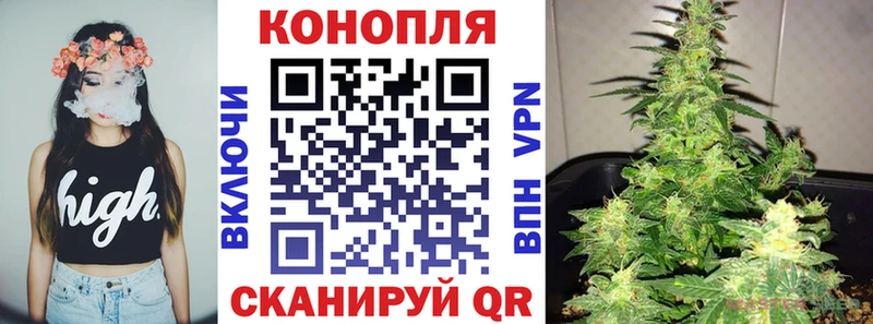 Каннабис сатива  закладки  Верхотурье 